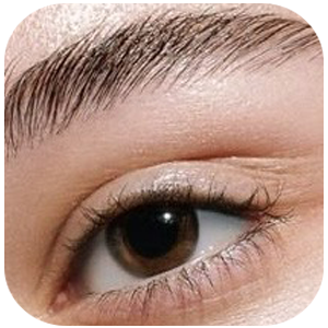 Eyebrow image by PodoLogic